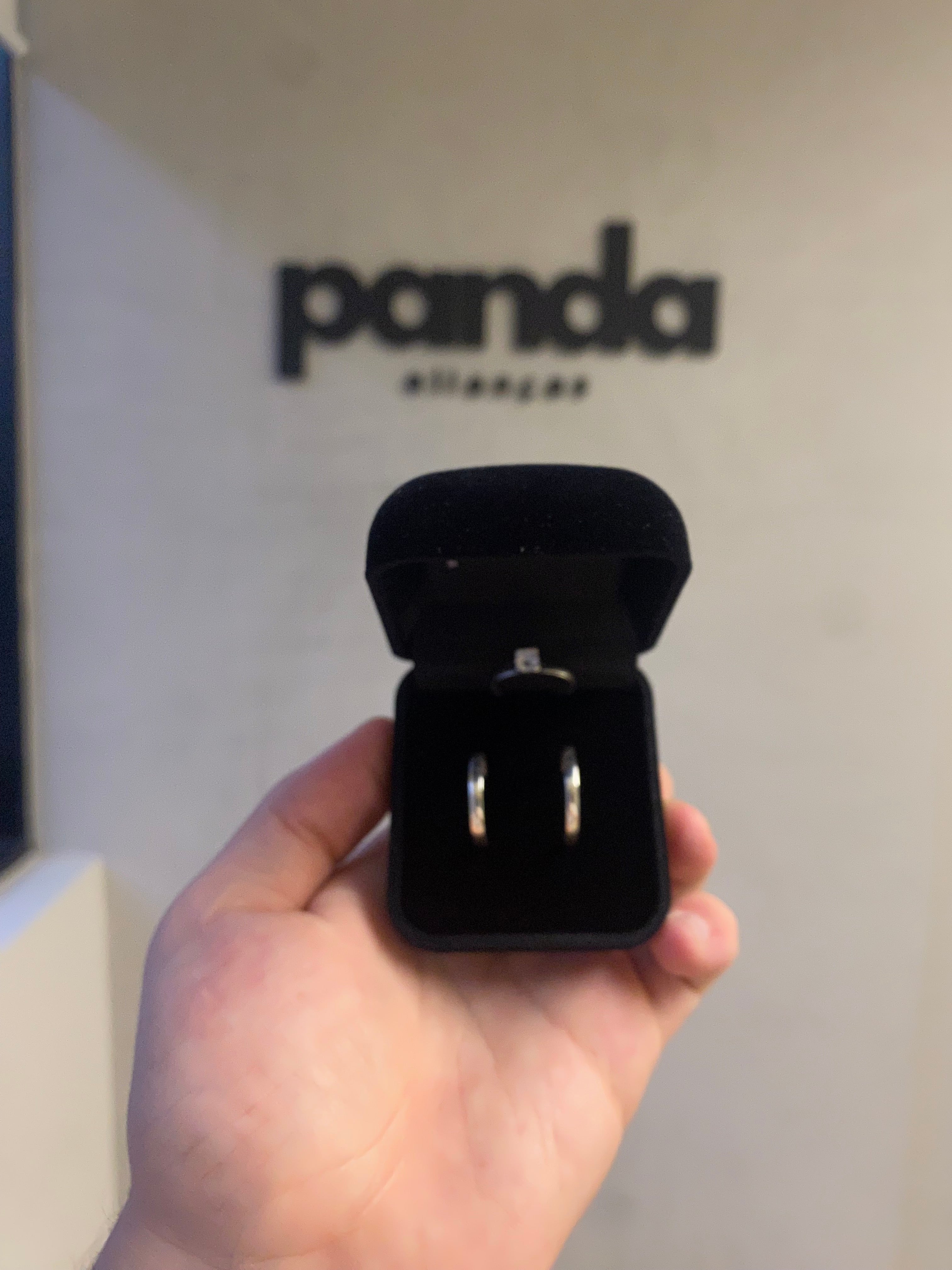 Par de Alianças em Prata 950 2mm - Quebec