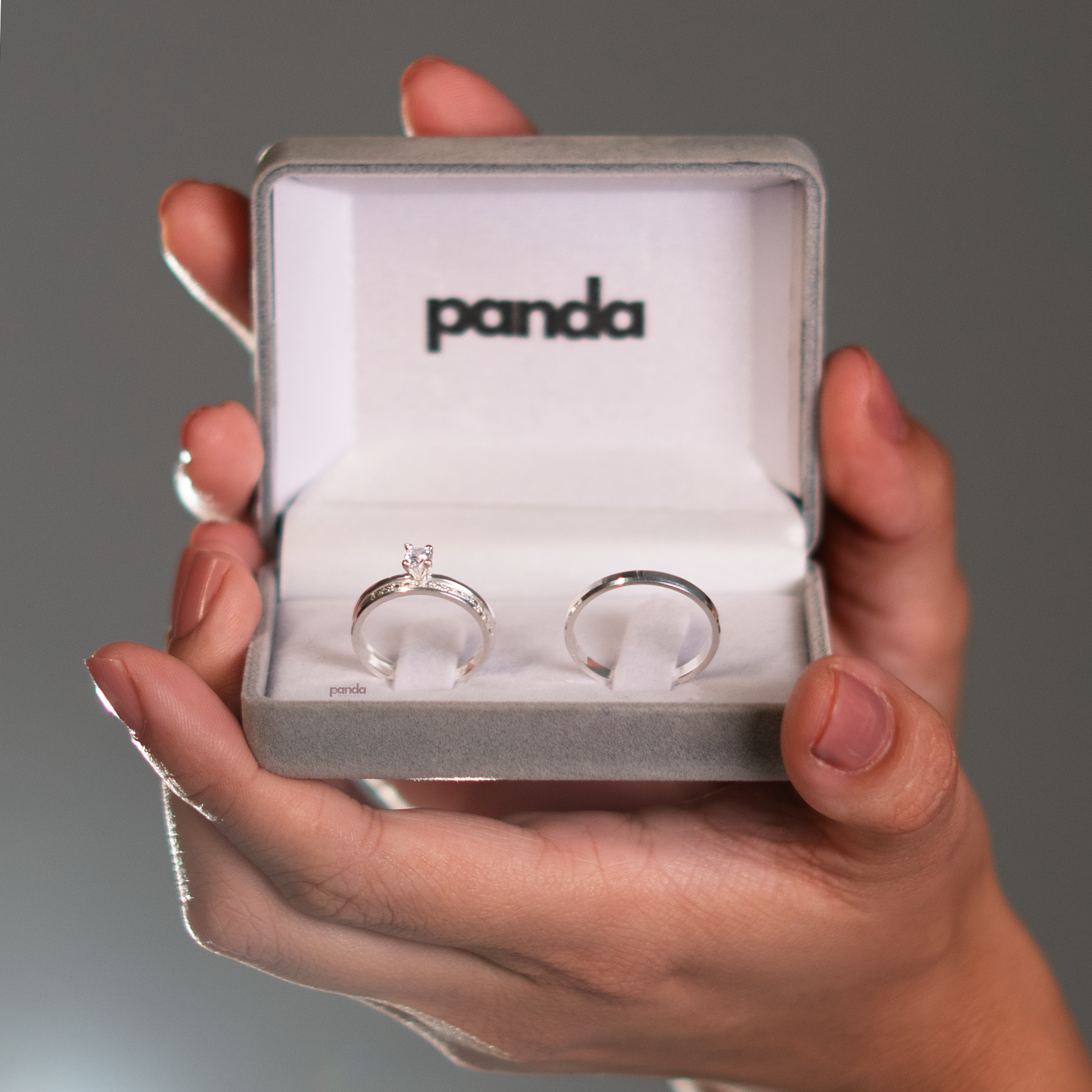 Par de Alianças em Prata 950 2mm - Cinque Terre