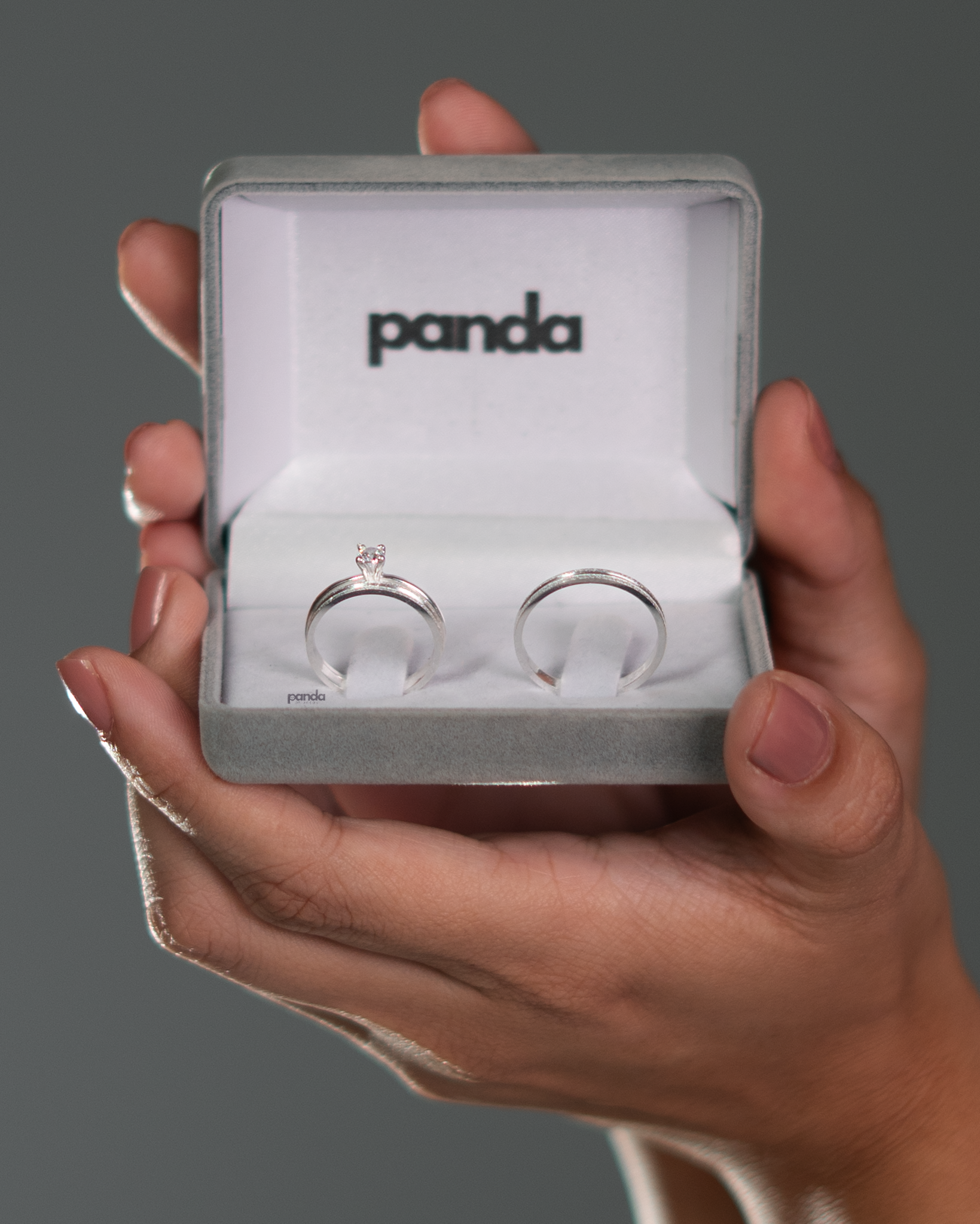 Par de Alianças em Prata 950 2mm - Bruges