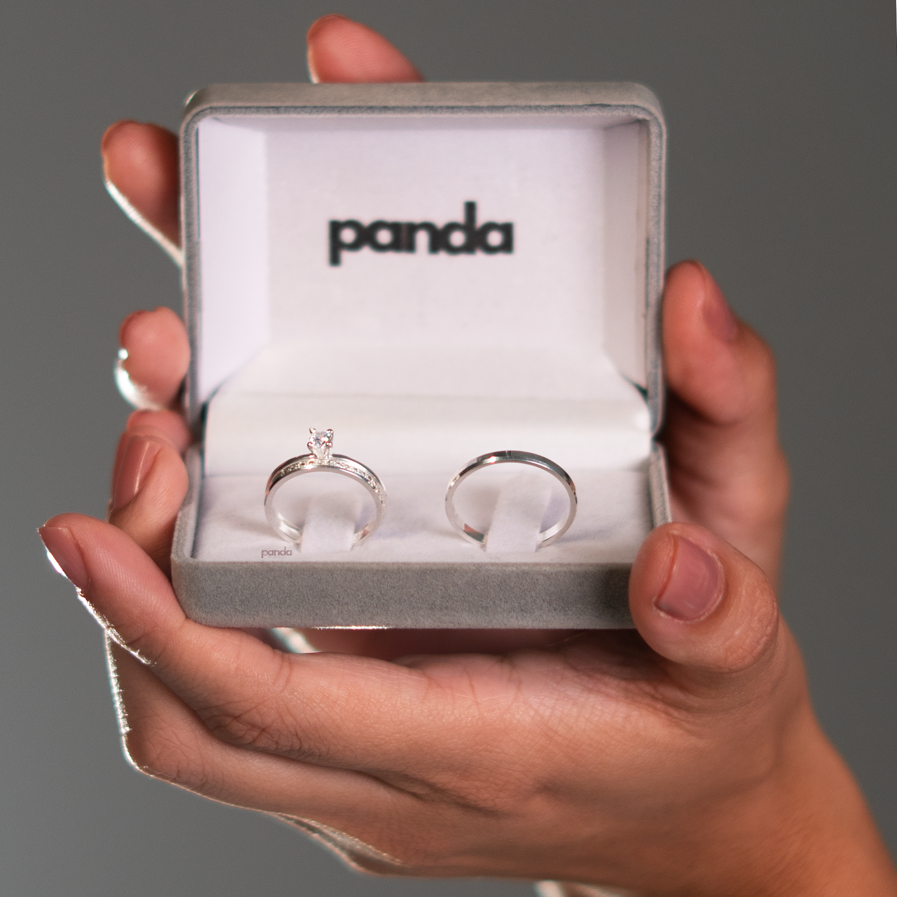 Par de Alianças em Prata 950 2mm - Cinque Terre