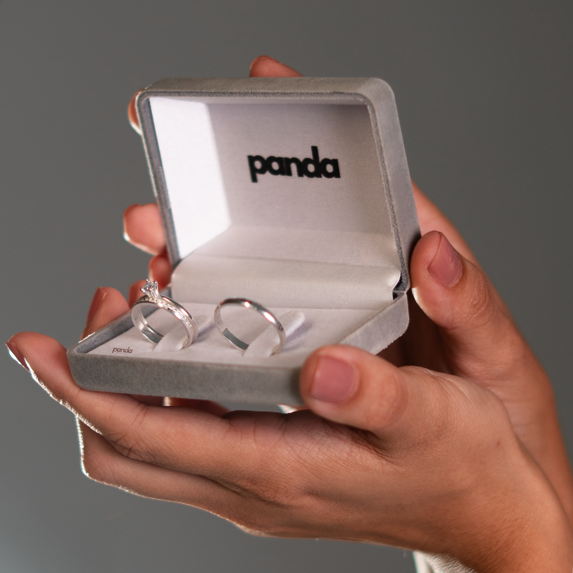 Par de Alianças em Prata 950 2mm - Cinque Terre