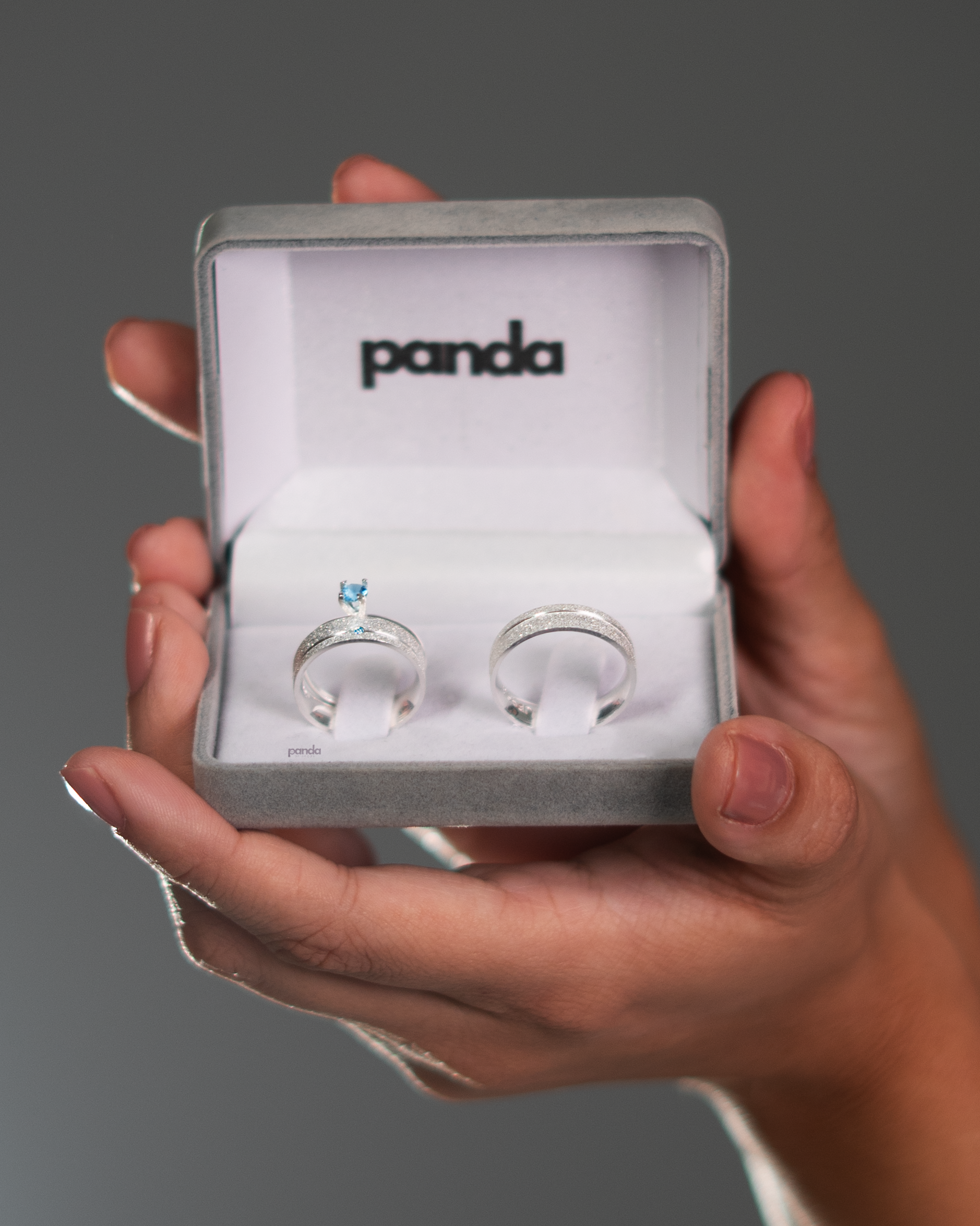 Par de Alianças em Prata 950 5mm - Oslo