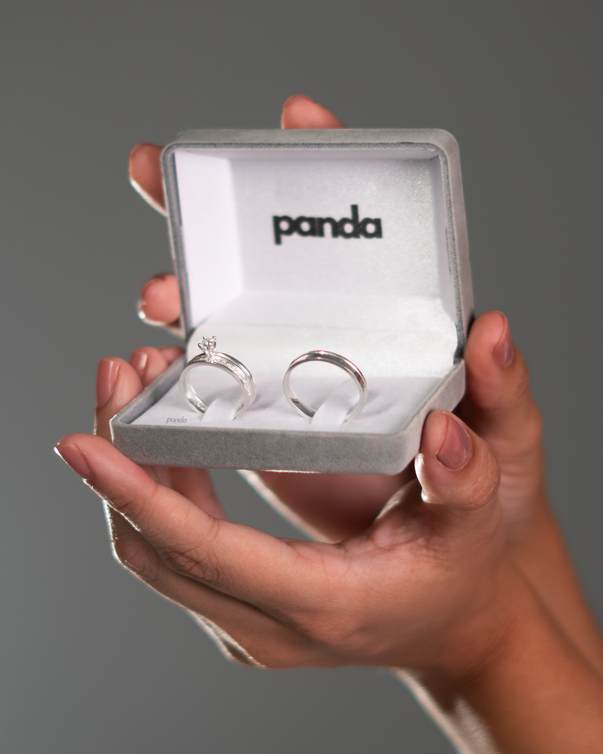 Par de Alianças em Prata 950 3mm - Paris