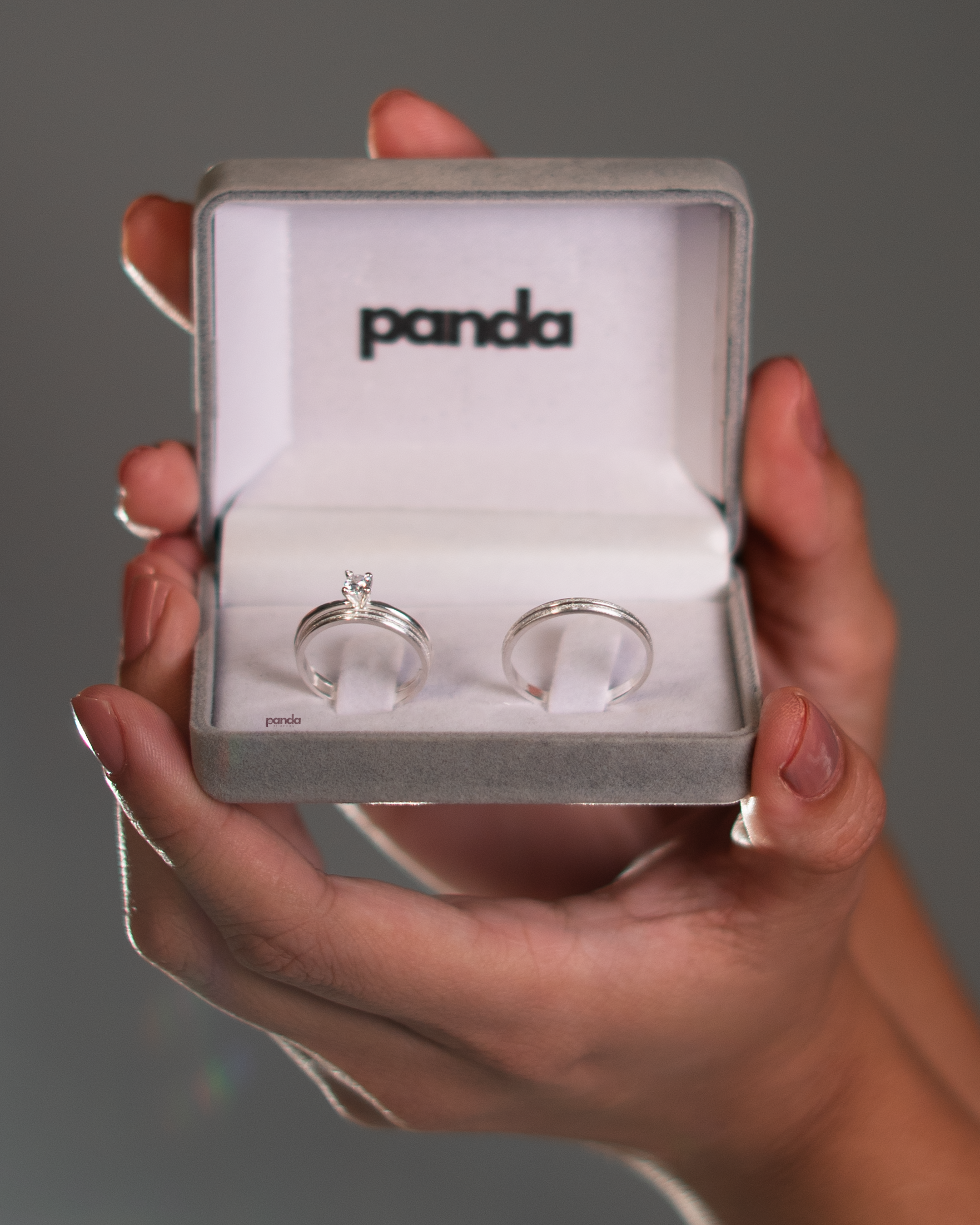 Par de Alianças em Prata 950 2mm - Praga