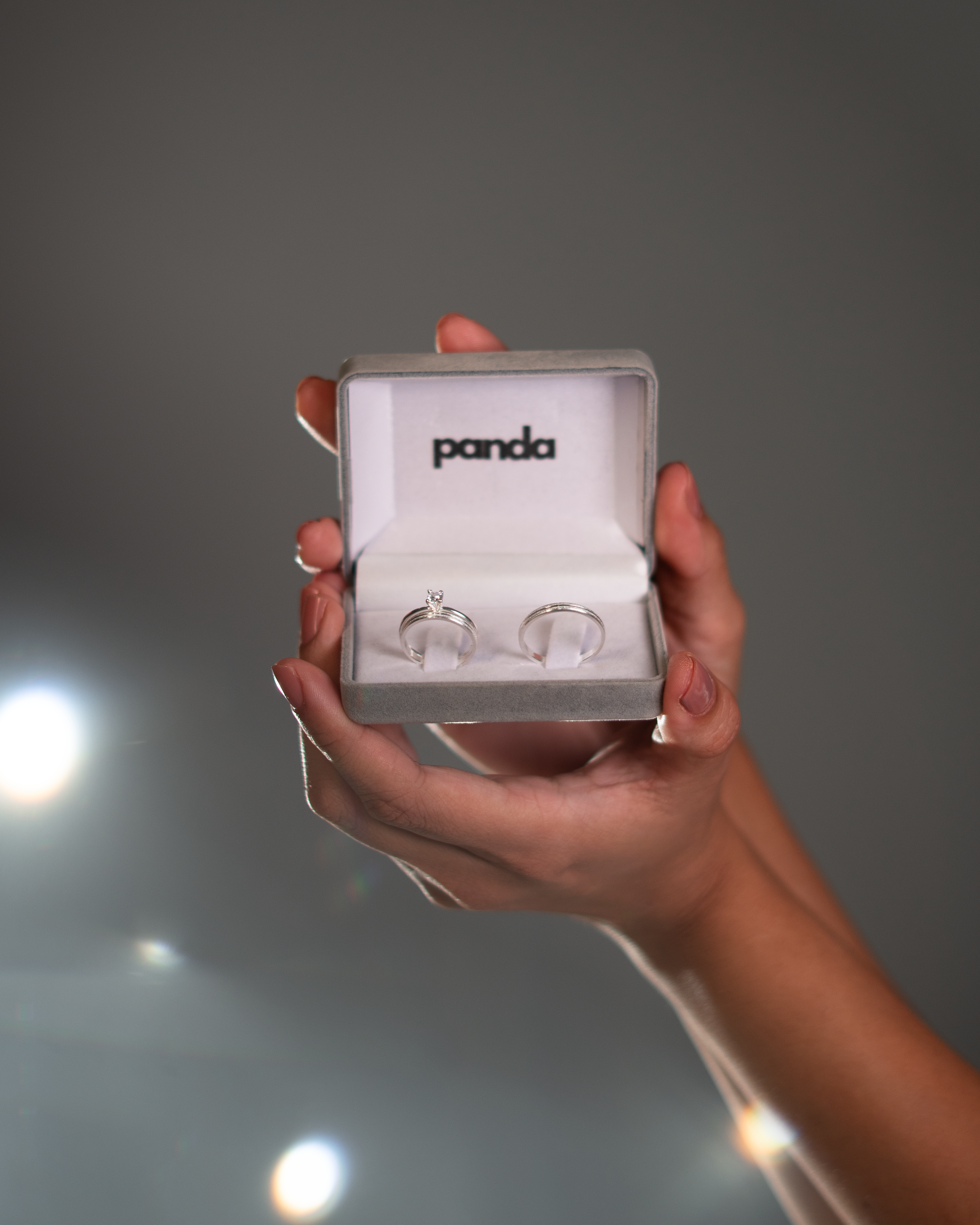 Par de Alianças em Prata 950 2mm - Praga